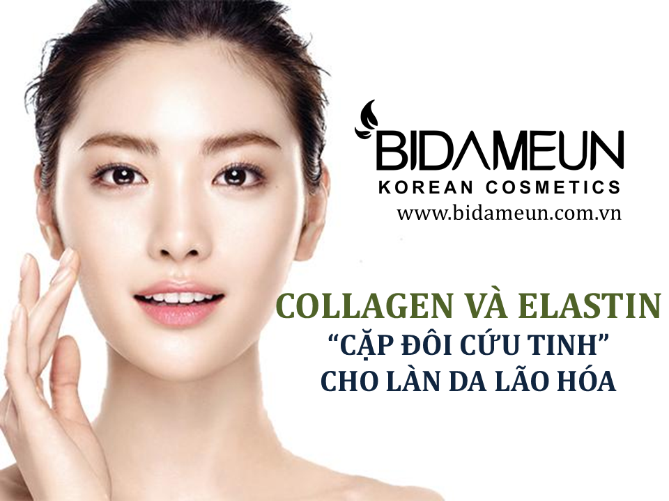 Collagen và Elastin- “Cặp đôi cứu tinh” cho làn da lão hóa