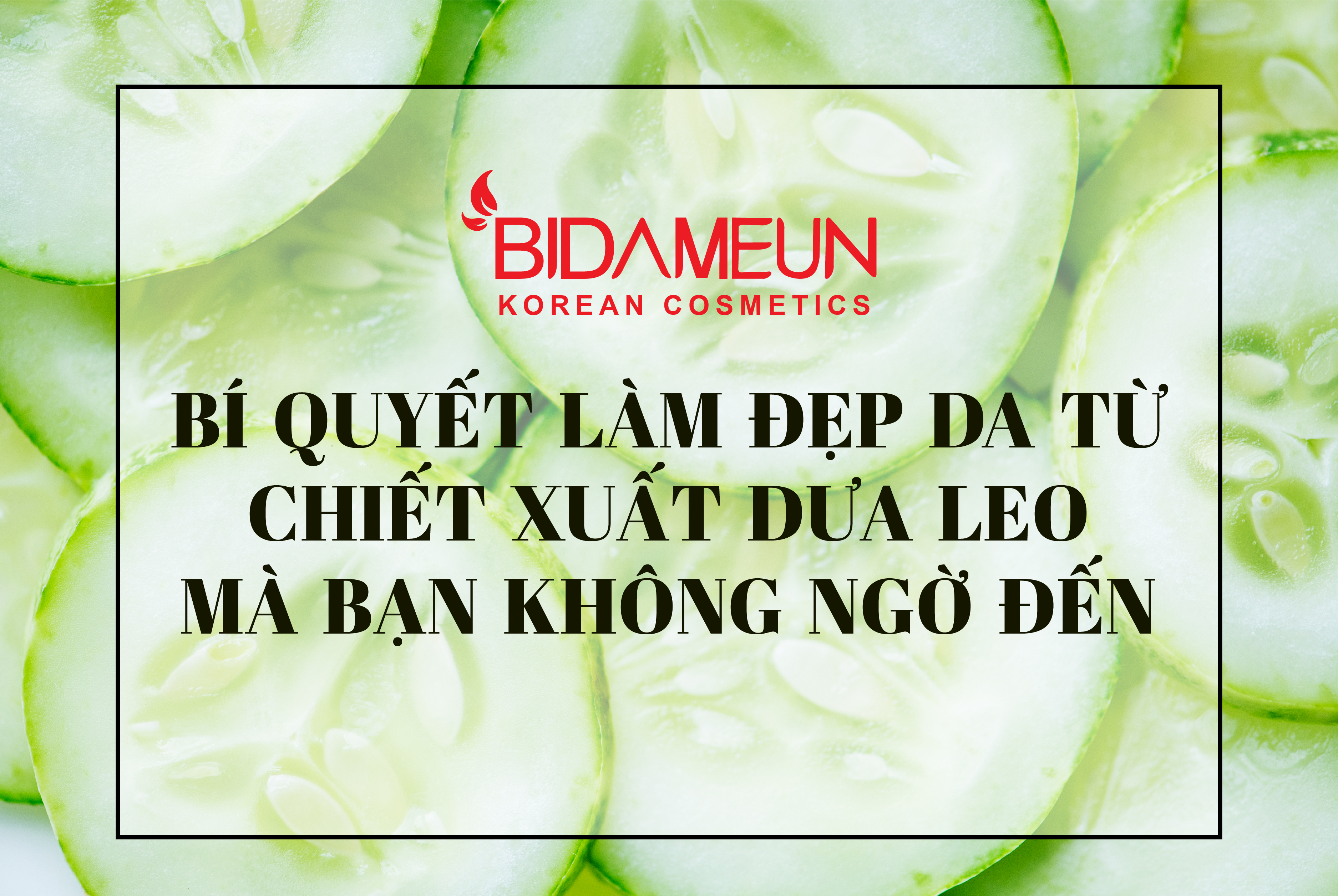 Bí quyết làm đẹp da từ chiết xuất dưa leo mà bạn không ngờ đến.