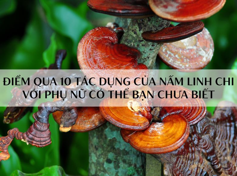 ĐIỂM QUA 10 TÁC DỤNG CỦA NẤM LINH CHI VỚI PHỤ NỮ CÓ THỂ BẠN CHƯA BIẾT