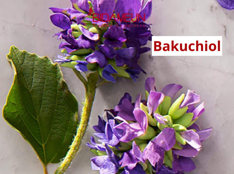 bakuchiol-va-retinol-so-sanh-hieu-qua,-cong-dung-va-cach-dung