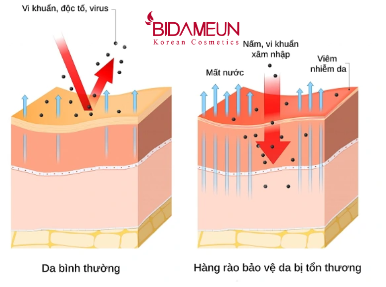 vi-sao-cang-duong-trang-da-lai-cang-de-bat-nang-nguyen-nhan-va-cach-khac-phuc-