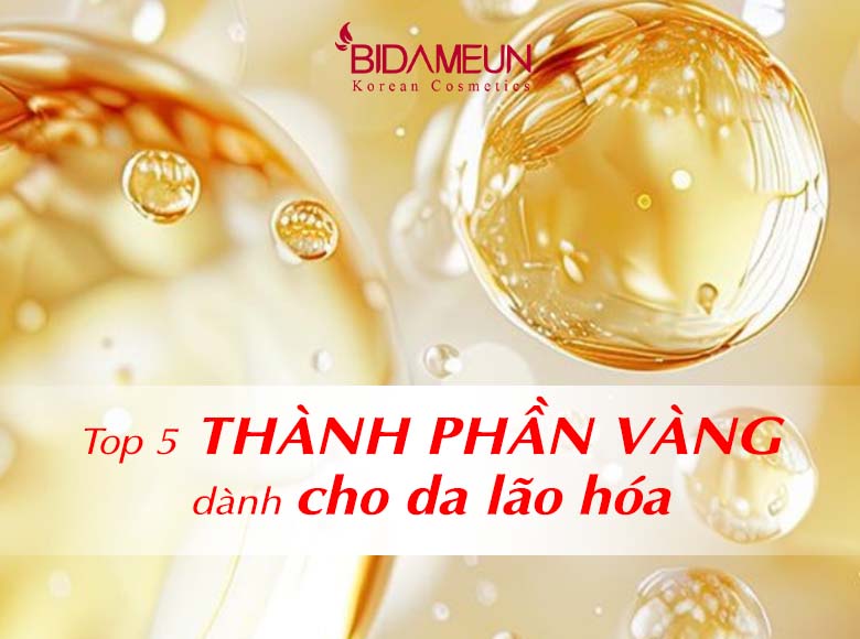 Top 5 thành phần vàng dành cho da lão hóa